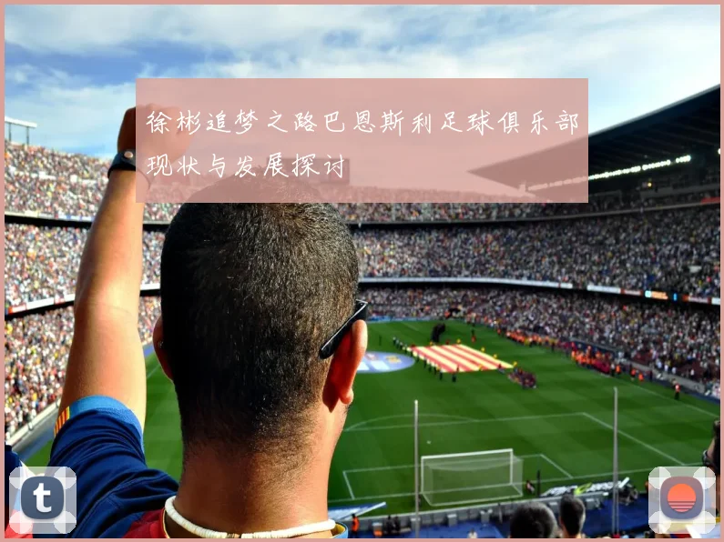 徐彬追梦之路巴恩斯利足球俱乐部现状与发展探讨