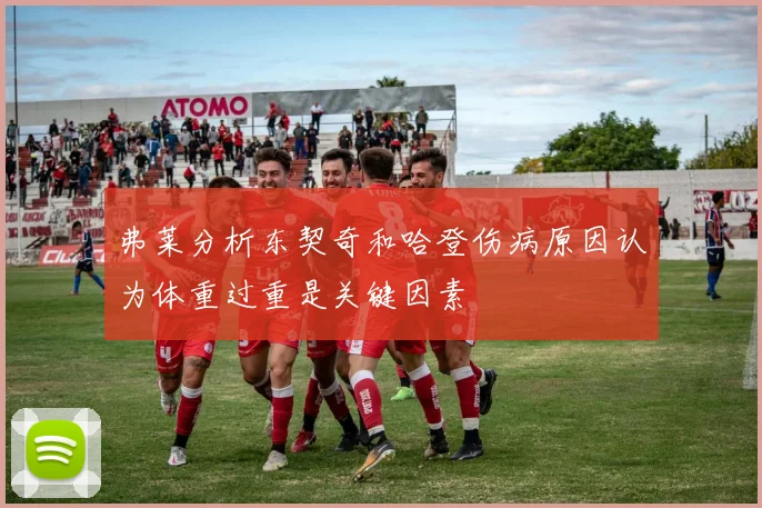 弗莱分析东契奇和哈登伤病原因认为体重过重是关键因素
