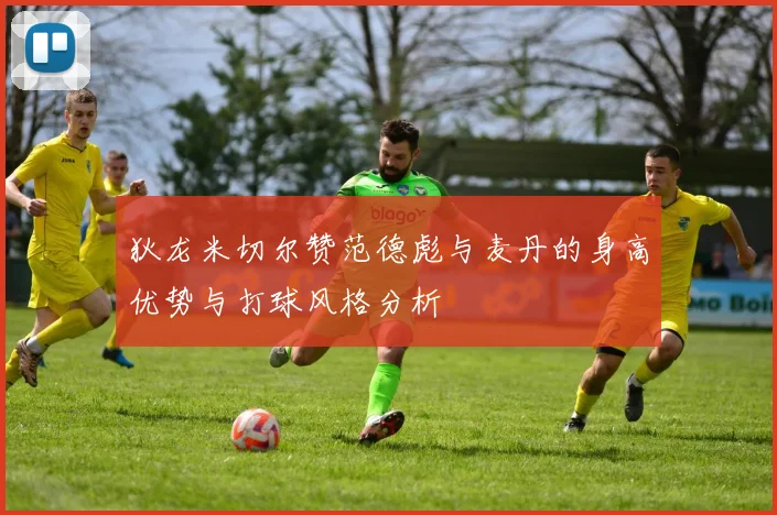 狄龙米切尔赞范德彪与麦丹的身高优势与打球风格分析